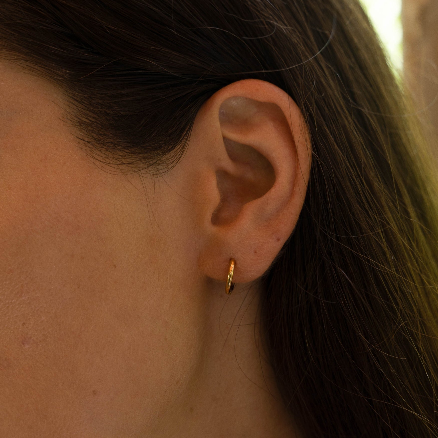 Fรกinnรญ cluaise beaga